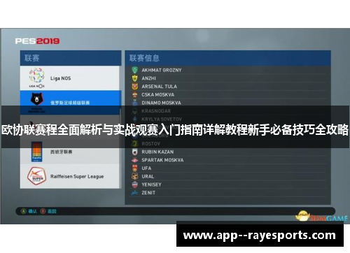 欧协联赛程全面解析与实战观赛入门指南详解教程新手必备技巧全攻略
